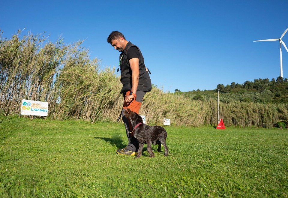 Alfadog - Centro Canino imagem 186