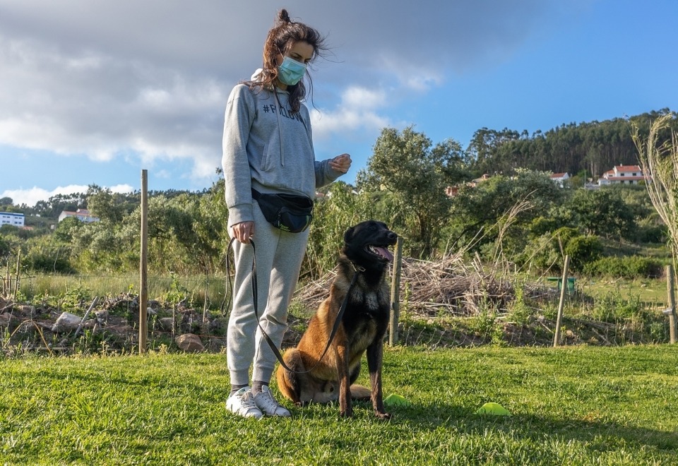 Alfadog - Centro Canino imagem 232