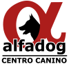 Alfadog - Centro Canino